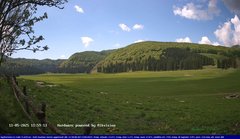 view from Webcam Cansiglio - verso la piana dei "Bech" on 2025-05-11