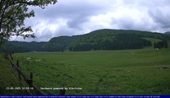 view from Webcam Cansiglio - verso la piana dei "Bech" on 2025-05-21
