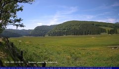 view from Webcam Cansiglio - verso la piana dei "Bech" on 2025-05-31