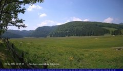 view from Webcam Cansiglio - verso la piana dei "Bech" on 2025-06-01