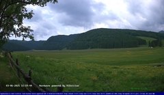 view from Webcam Cansiglio - verso la piana dei "Bech" on 2025-06-03