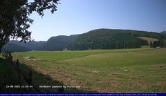 view from Webcam Cansiglio - verso la piana dei "Bech" on 2025-08-13