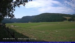 view from Webcam Cansiglio - verso la piana dei "Bech" on 2025-08-16