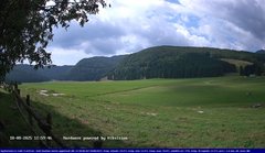 view from Webcam Cansiglio - verso la piana dei "Bech" on 2025-08-18