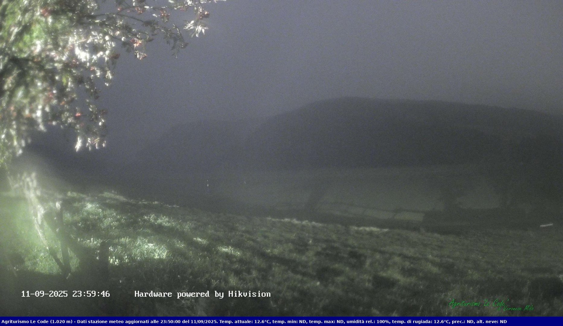 time-lapse frame, Webcam Cansiglio - verso la piana dei "Bech" webcam