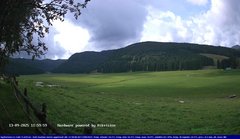 view from Webcam Cansiglio - verso la piana dei "Bech" on 2025-09-13