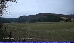 view from Webcam Cansiglio - verso la piana dei "Bech" on 2026-04-10