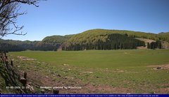 view from Webcam Cansiglio - verso la piana dei "Bech" on 2026-05-01