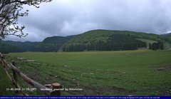 view from Webcam Cansiglio - verso la piana dei "Bech" on 2026-05-11