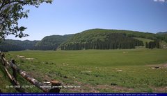 view from Webcam Cansiglio - verso la piana dei "Bech" on 2026-05-25