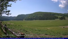 view from Webcam Cansiglio - verso la piana dei "Bech" on 2026-05-26