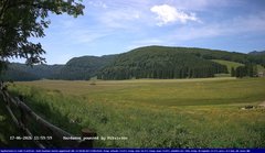 view from Webcam Cansiglio - verso la piana dei "Bech" on 2026-06-17