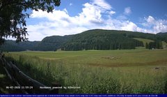 view from Webcam Cansiglio - verso la piana dei "Bech" on 2026-07-06