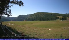 view from Webcam Cansiglio - verso la piana dei "Bech" on 2026-08-13