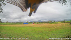 view from Mt Quandong Camera on 2026-05-06