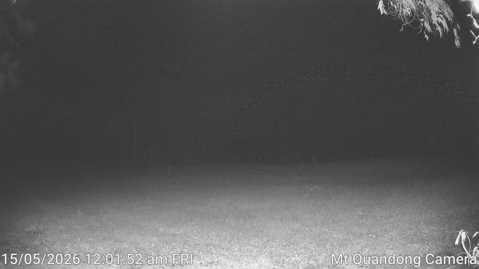 time-lapse frame, Mt Quandong Camera webcam