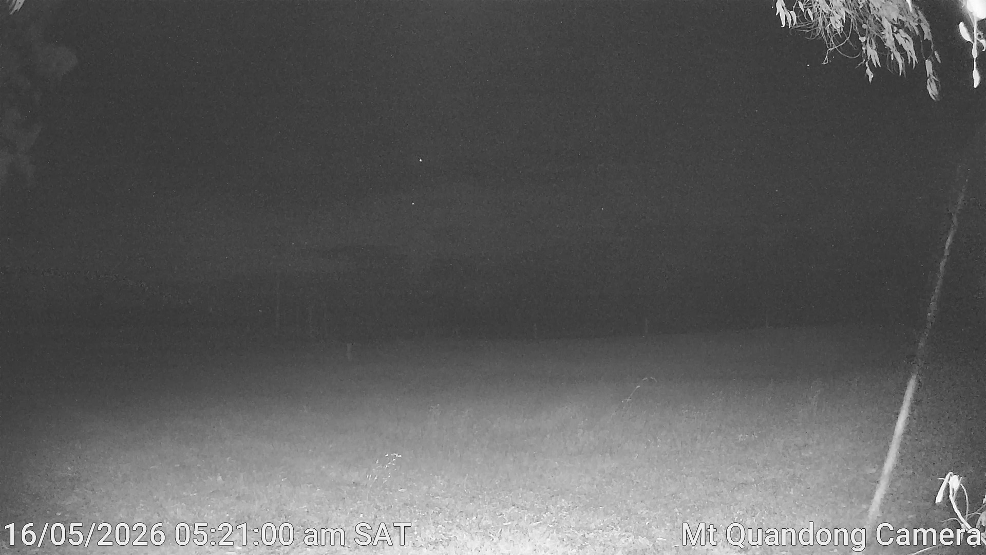time-lapse frame, Mt Quandong Camera webcam