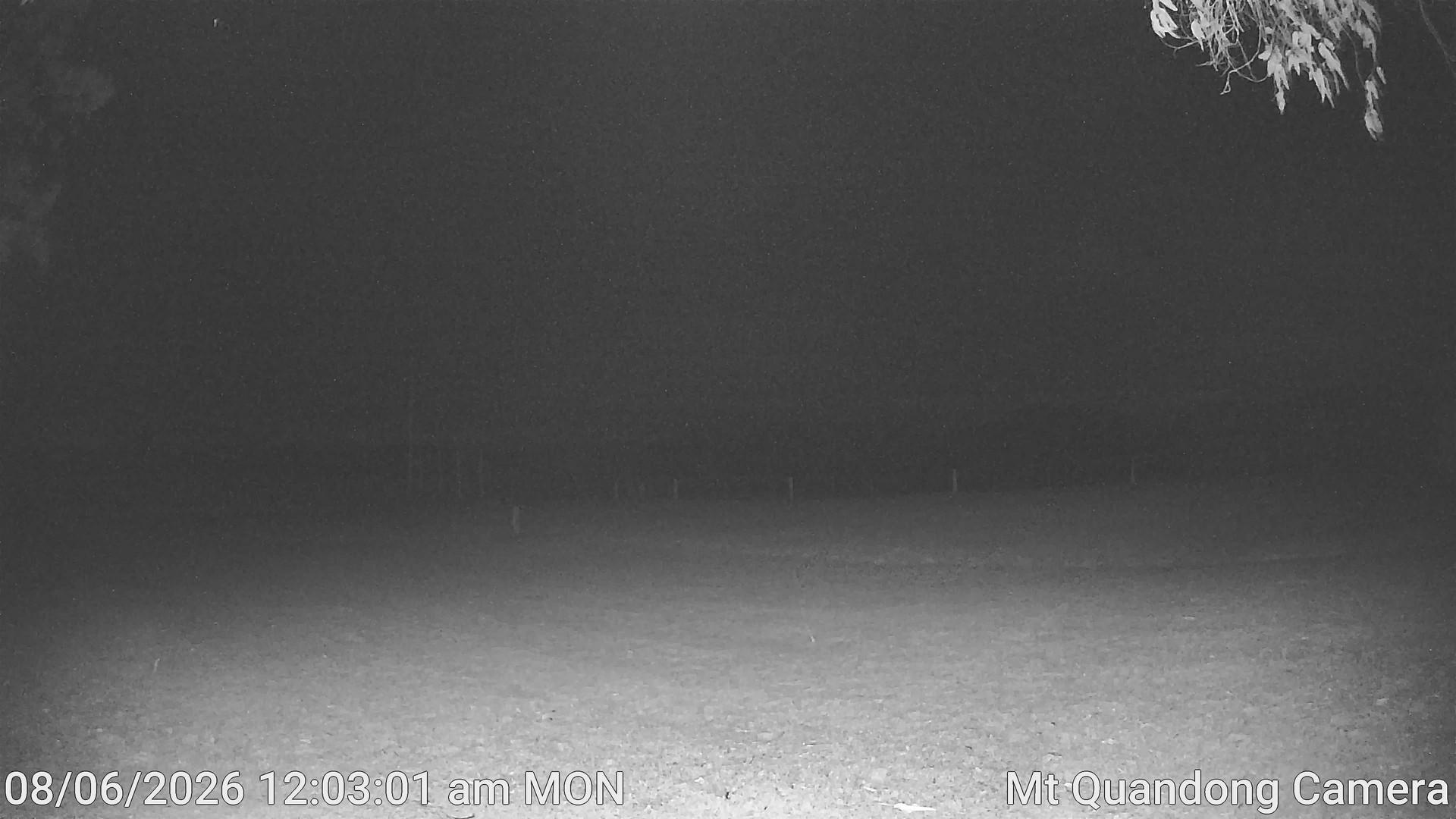 time-lapse frame, Mt Quandong Camera webcam