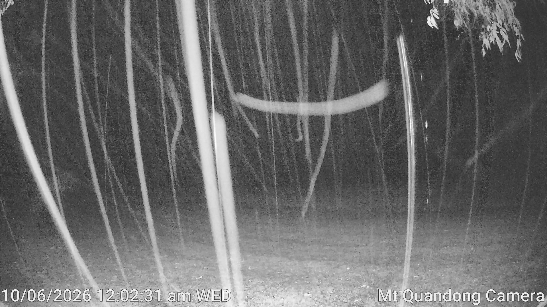 time-lapse frame, Mt Quandong Camera webcam