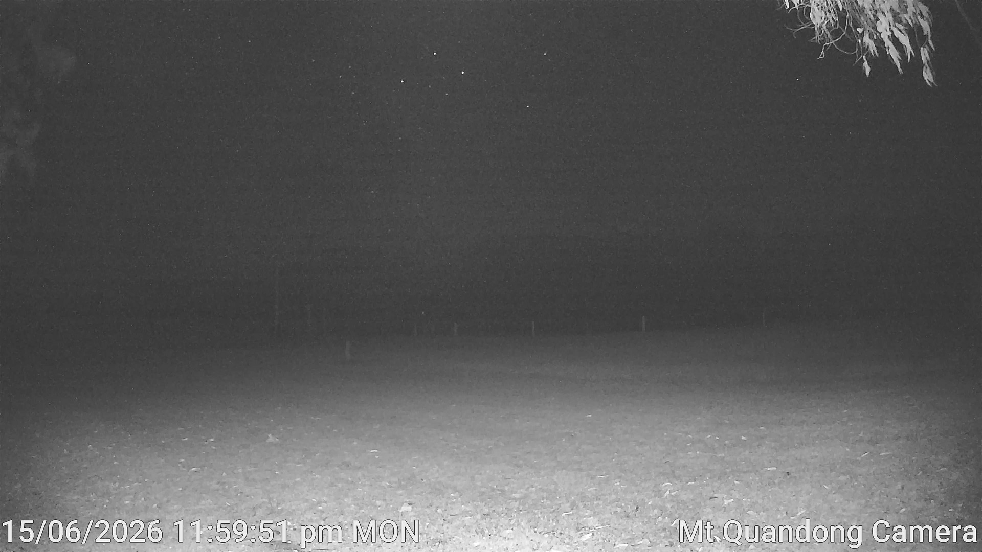 time-lapse frame, Mt Quandong Camera webcam