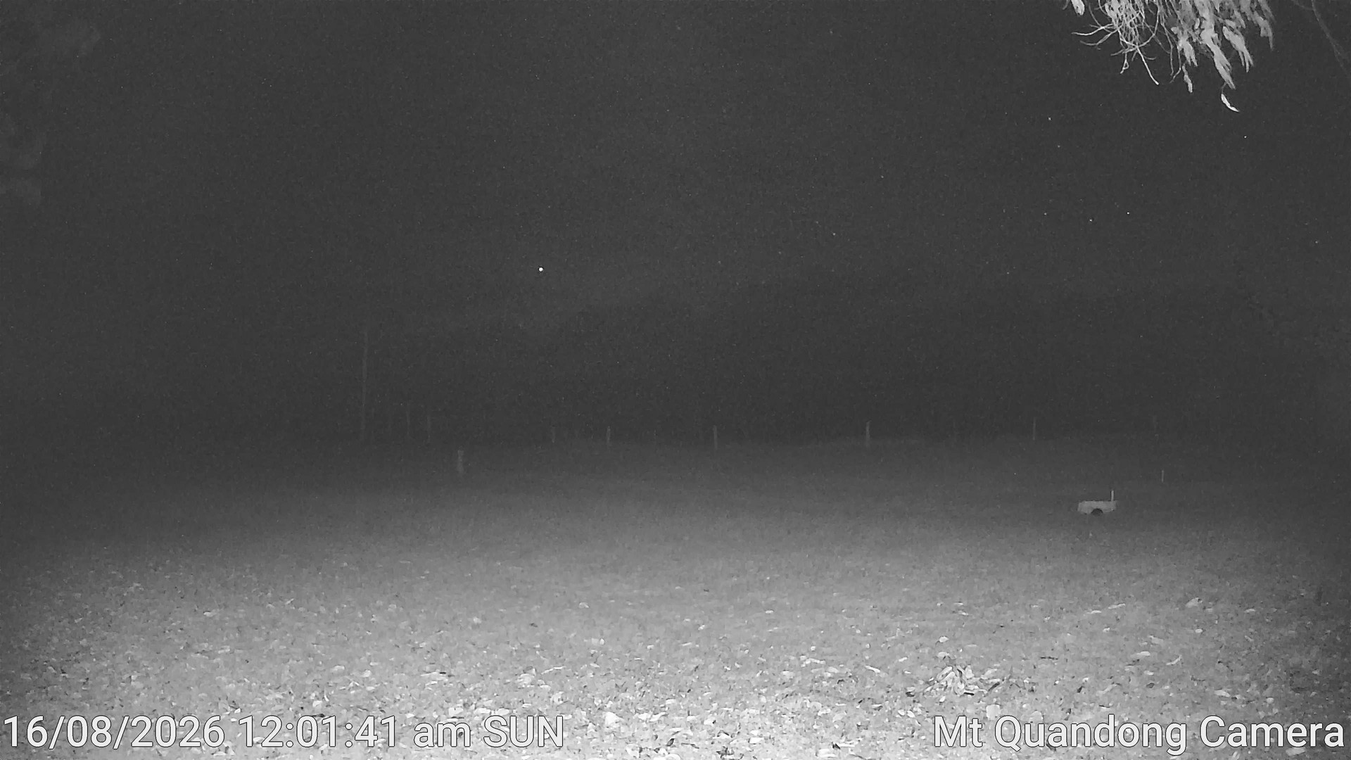 time-lapse frame, Mt Quandong Camera webcam