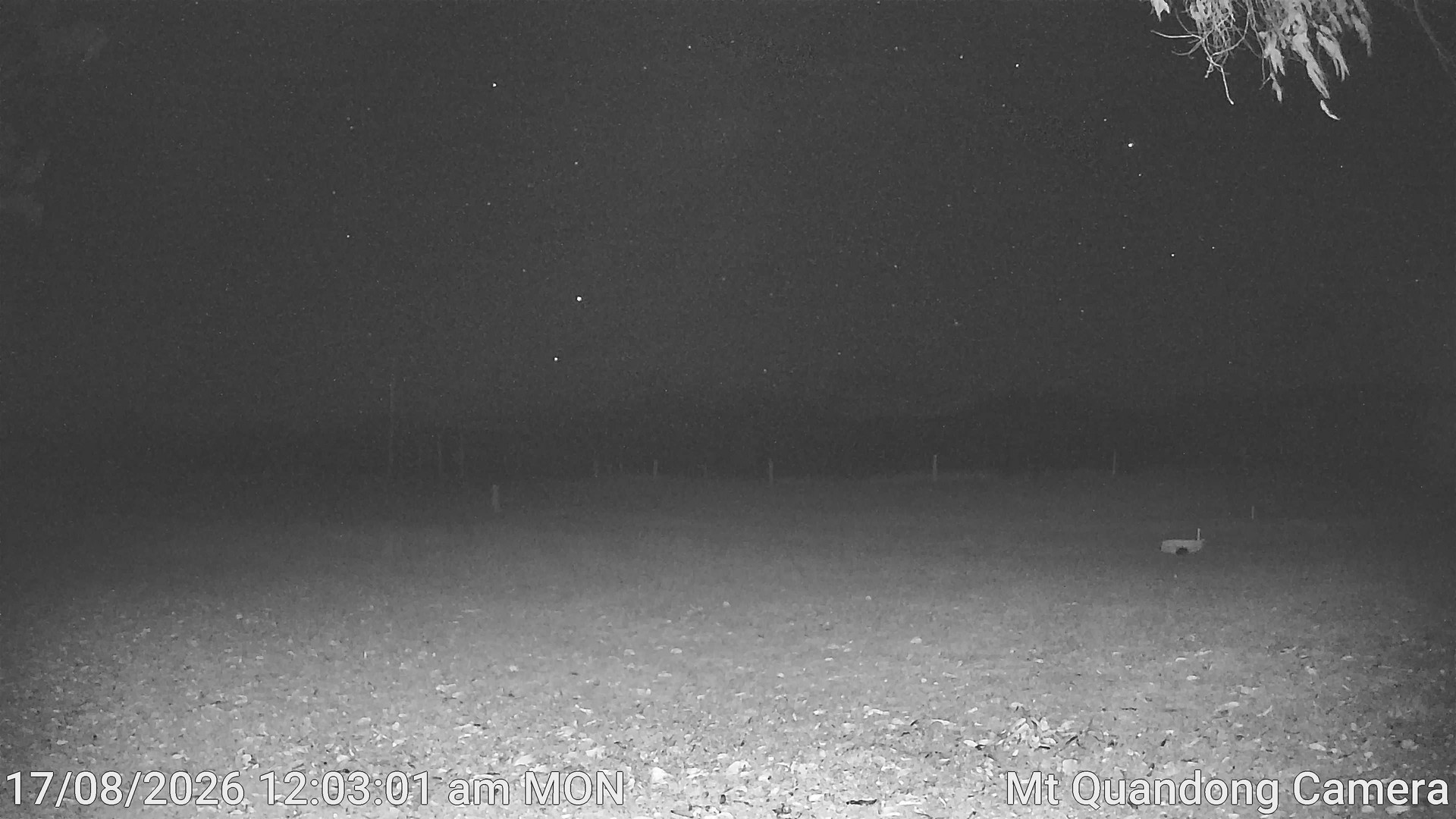 time-lapse frame, Mt Quandong Camera webcam