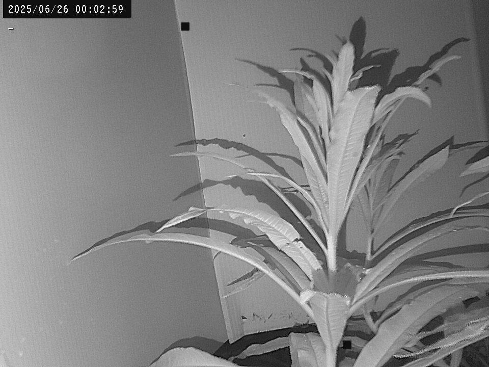 time-lapse frame, Weather Cam webcam