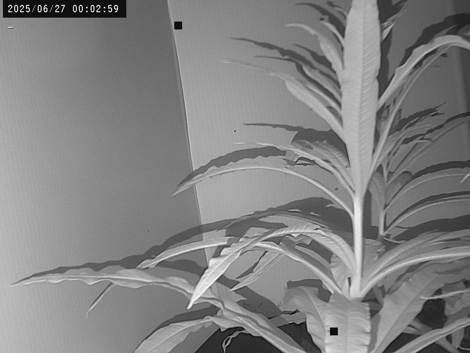 time-lapse frame, Weather Cam webcam