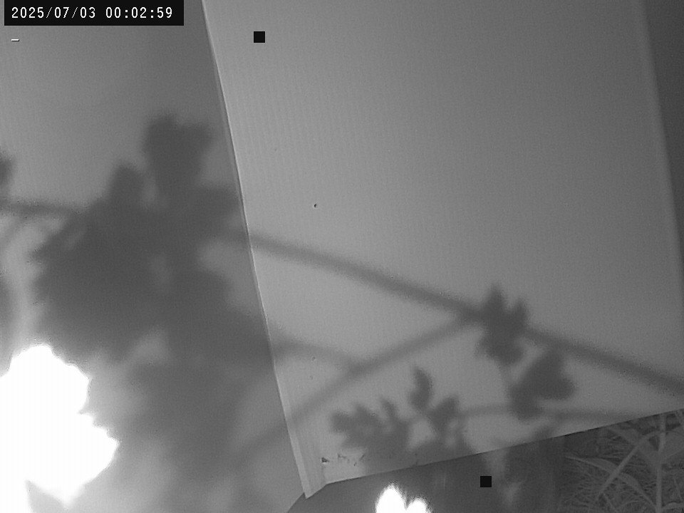 time-lapse frame, Weather Cam webcam