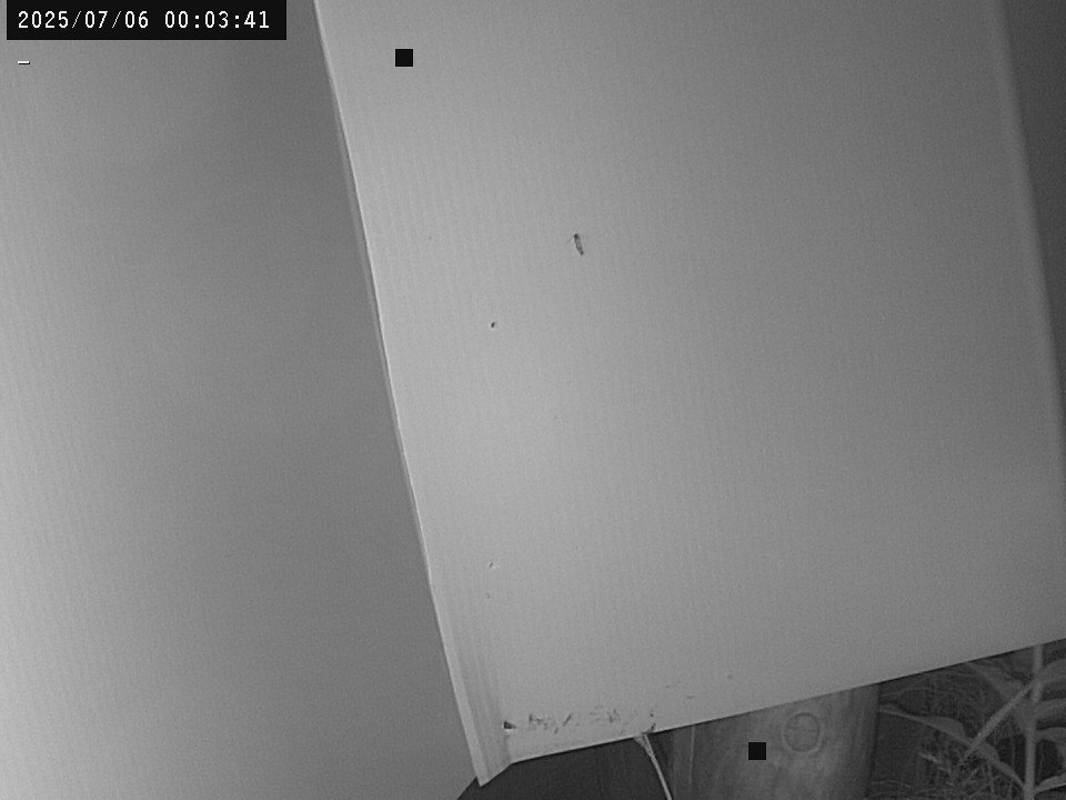 time-lapse frame, Weather Cam webcam