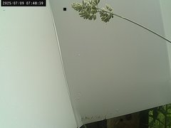 view from Weather Cam on 2025-07-09