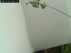 view from Weather Cam on 2025-07-09