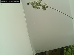 view from Weather Cam on 2025-07-09