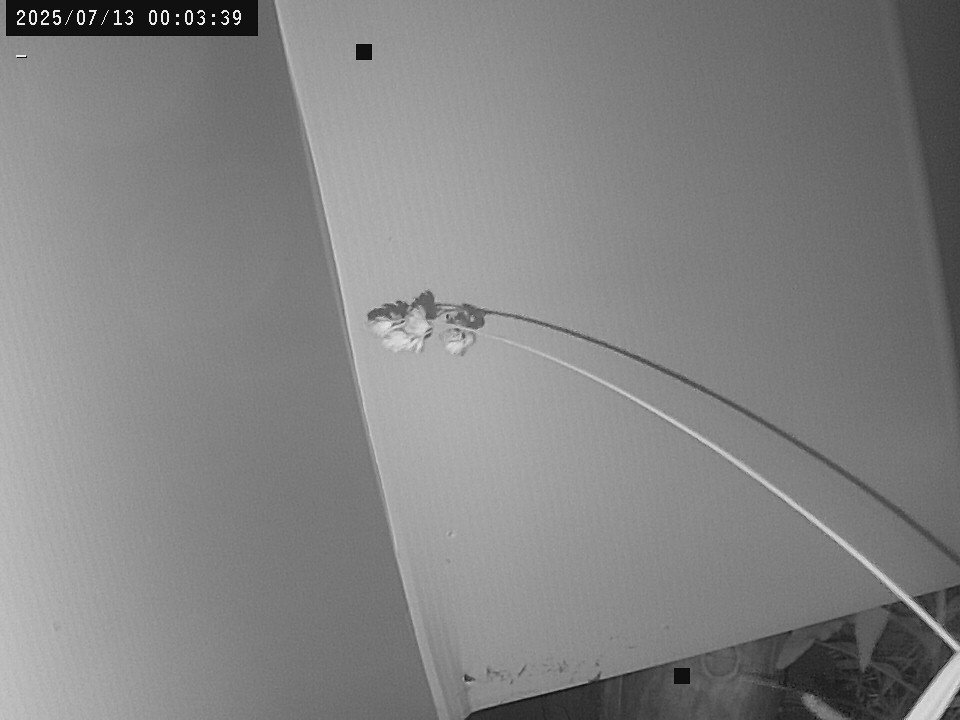 time-lapse frame, Weather Cam webcam