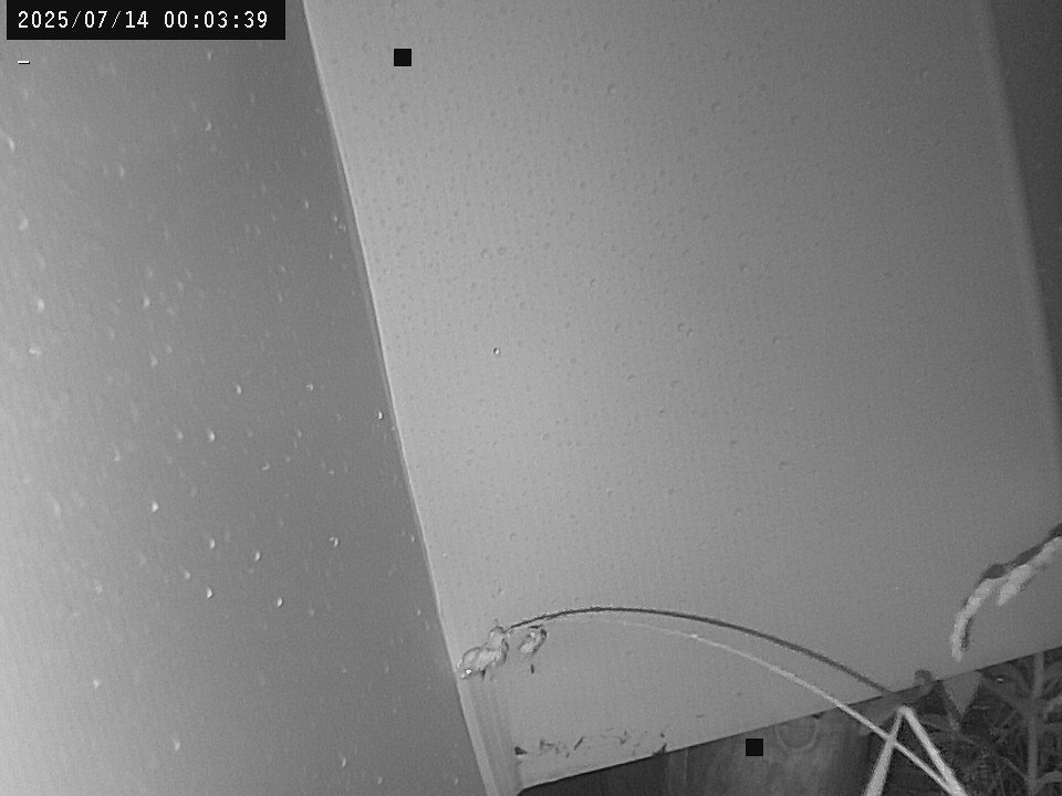 time-lapse frame, Weather Cam webcam