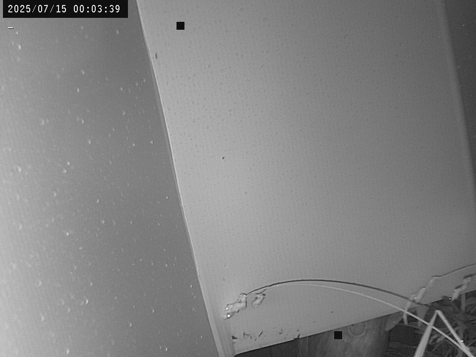 time-lapse frame, Weather Cam webcam