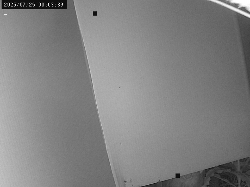 time-lapse frame, Weather Cam webcam