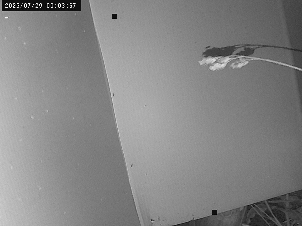 time-lapse frame, Weather Cam webcam