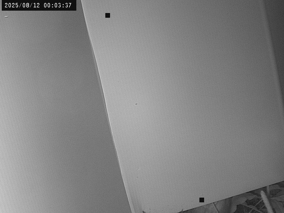 time-lapse frame, Weather Cam webcam