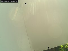 view from Weather Cam on 2025-08-12