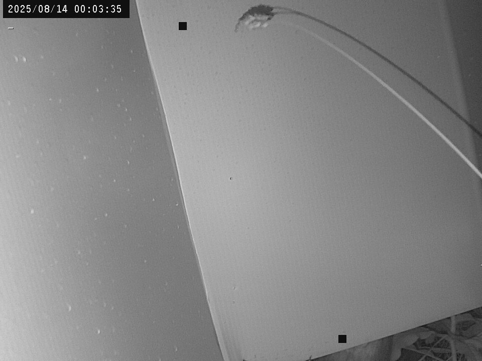 time-lapse frame, Weather Cam webcam
