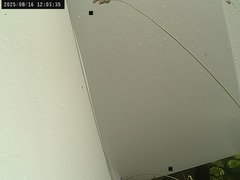 view from Weather Cam on 2025-08-16
