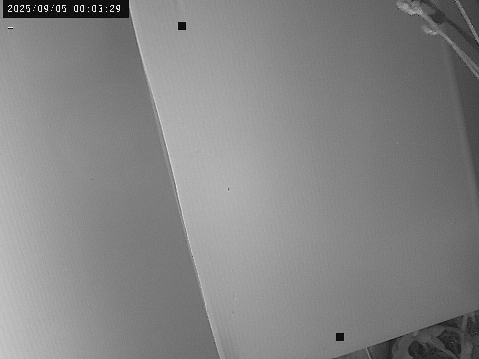 time-lapse frame, Weather Cam webcam
