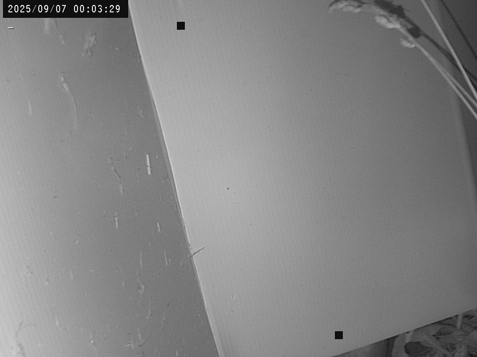time-lapse frame, Weather Cam webcam