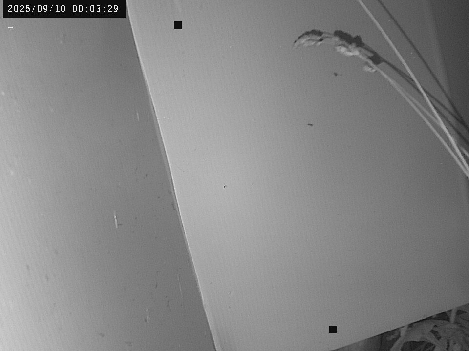 time-lapse frame, Weather Cam webcam