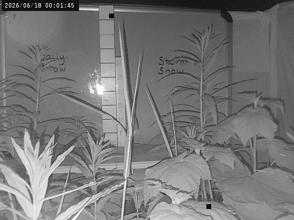 time-lapse frame, Weather Cam webcam