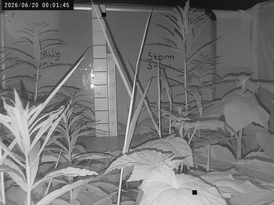 time-lapse frame, Weather Cam webcam