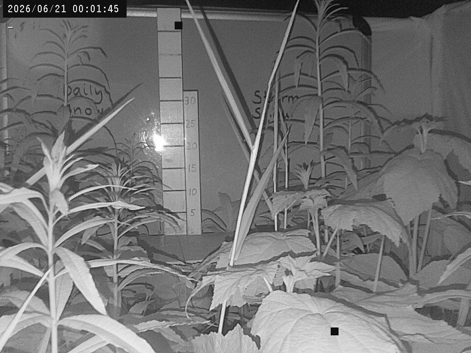 time-lapse frame, Weather Cam webcam