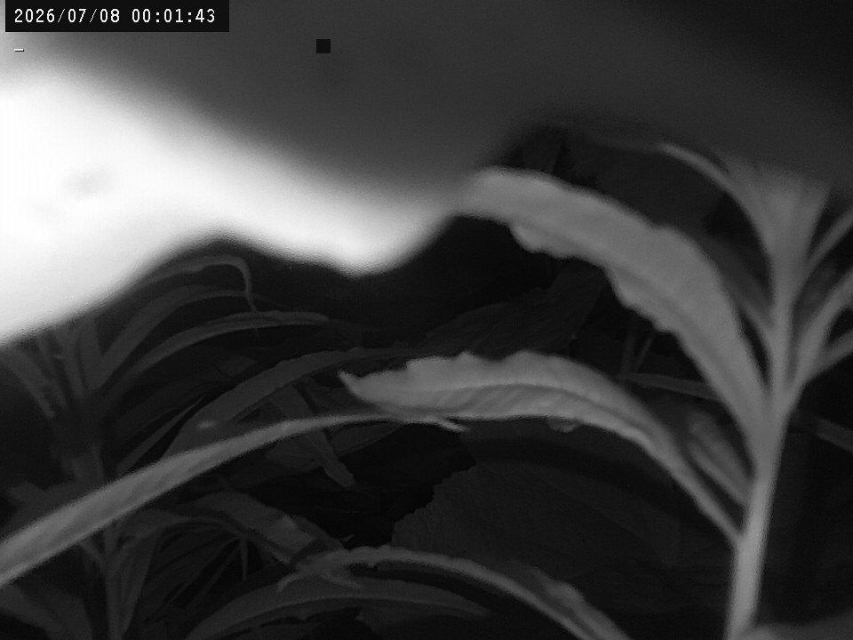 time-lapse frame, Weather Cam webcam
