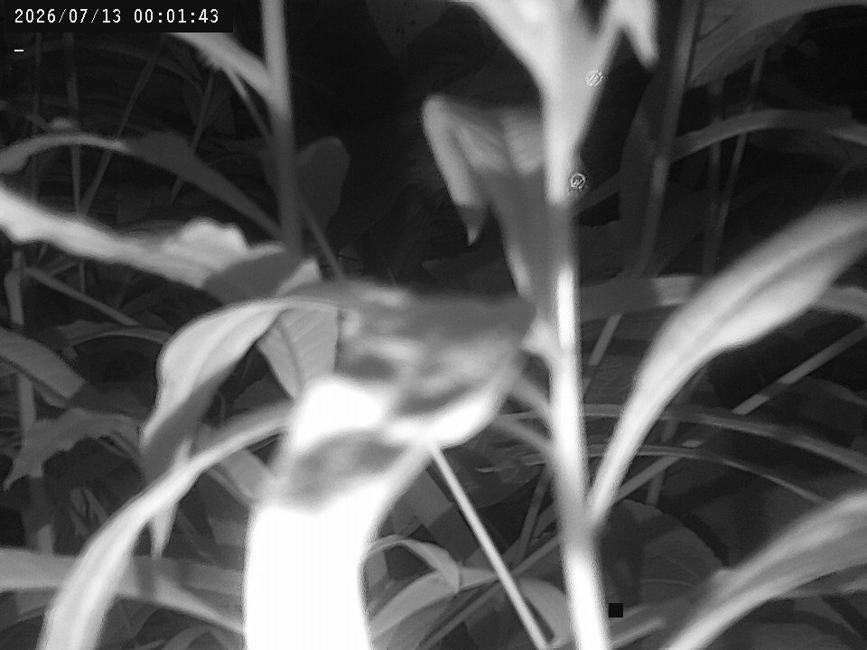 time-lapse frame, Weather Cam webcam